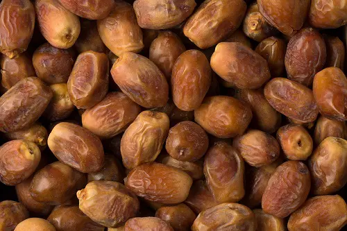Close-up of premium Zahedi dates – semi-dry Iranian variety for export