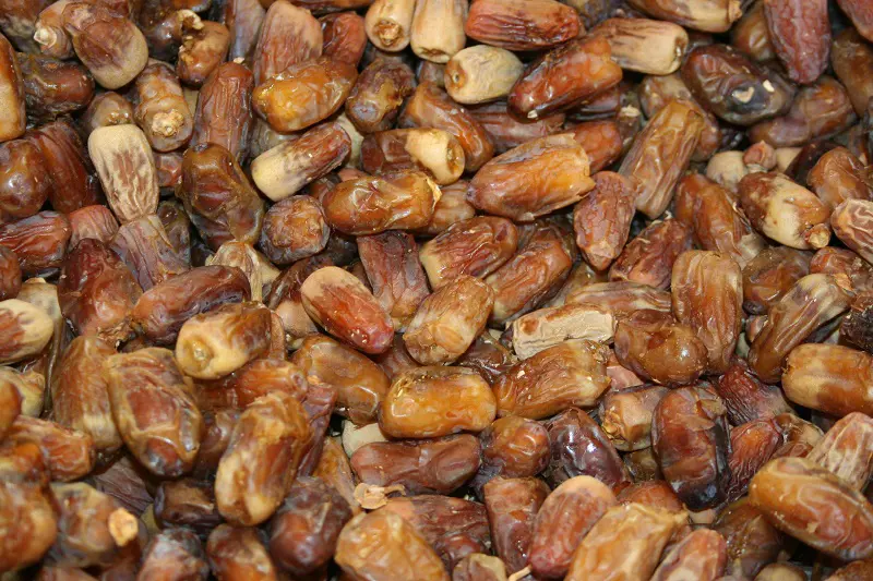 Close-up of premium Shahani dates from Iran ready for export by NOVEXPORT