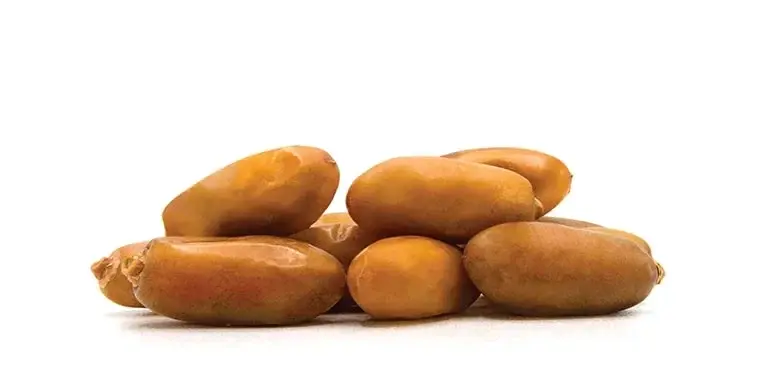 Premium Shahani dates from Iran – bulk and wholesale export quality